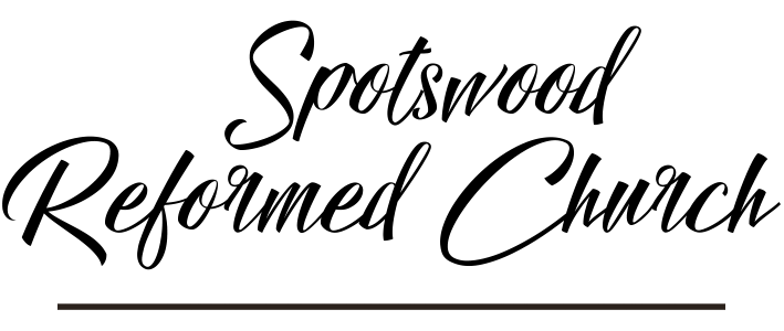 Drawn to Christ and led by the Spirit, we create community, equip disciples, and engage in Mission.